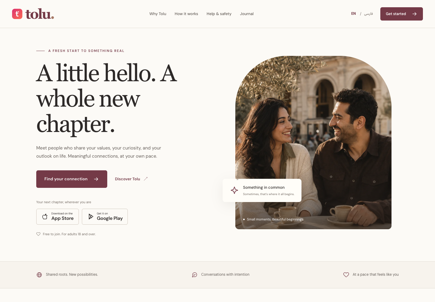 Tolu website homepage in English
